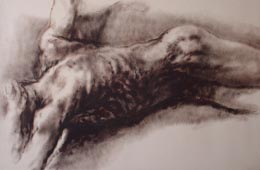 Luis Caballero
